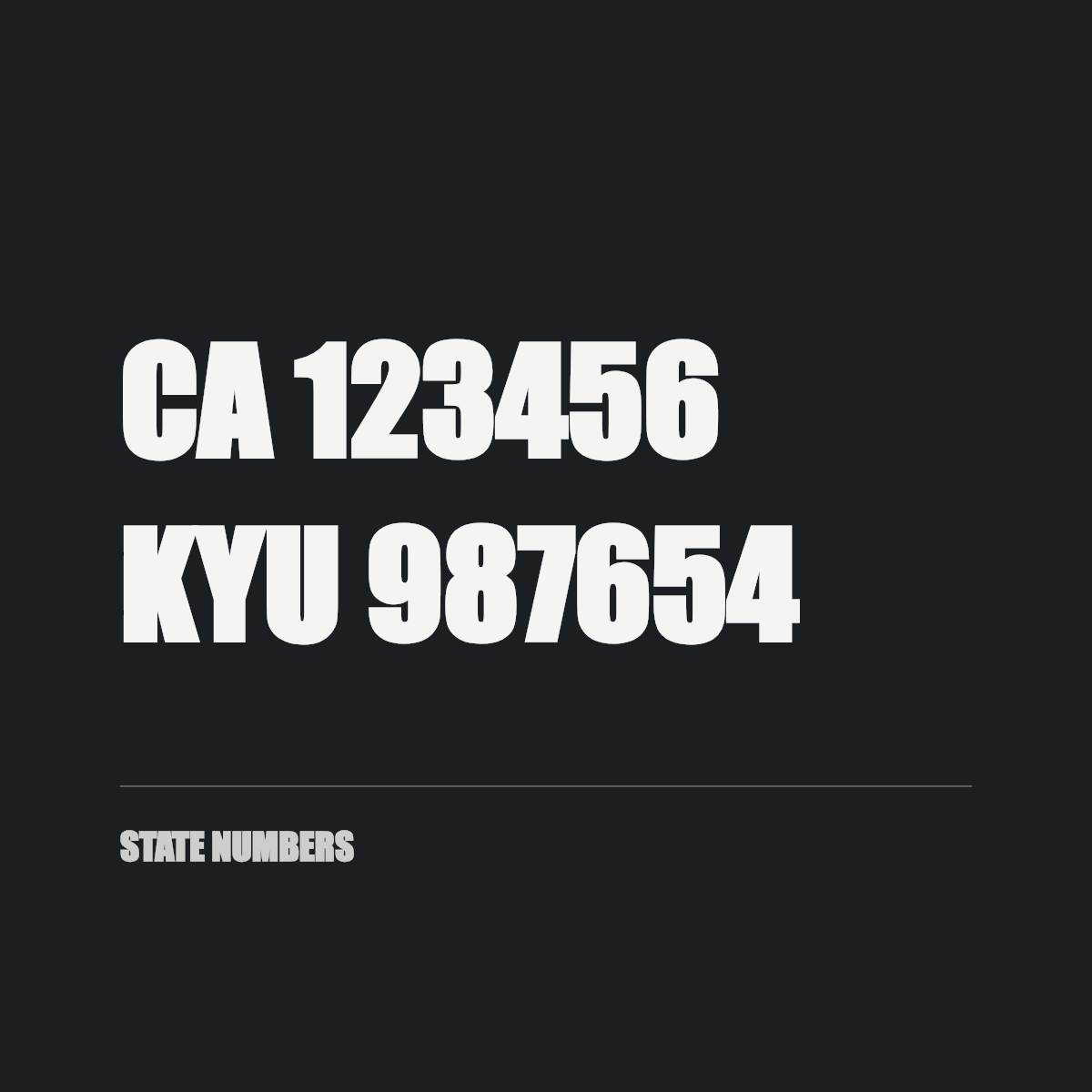 State numbers — CA 123456, KYU 987654 cut in white vinyl