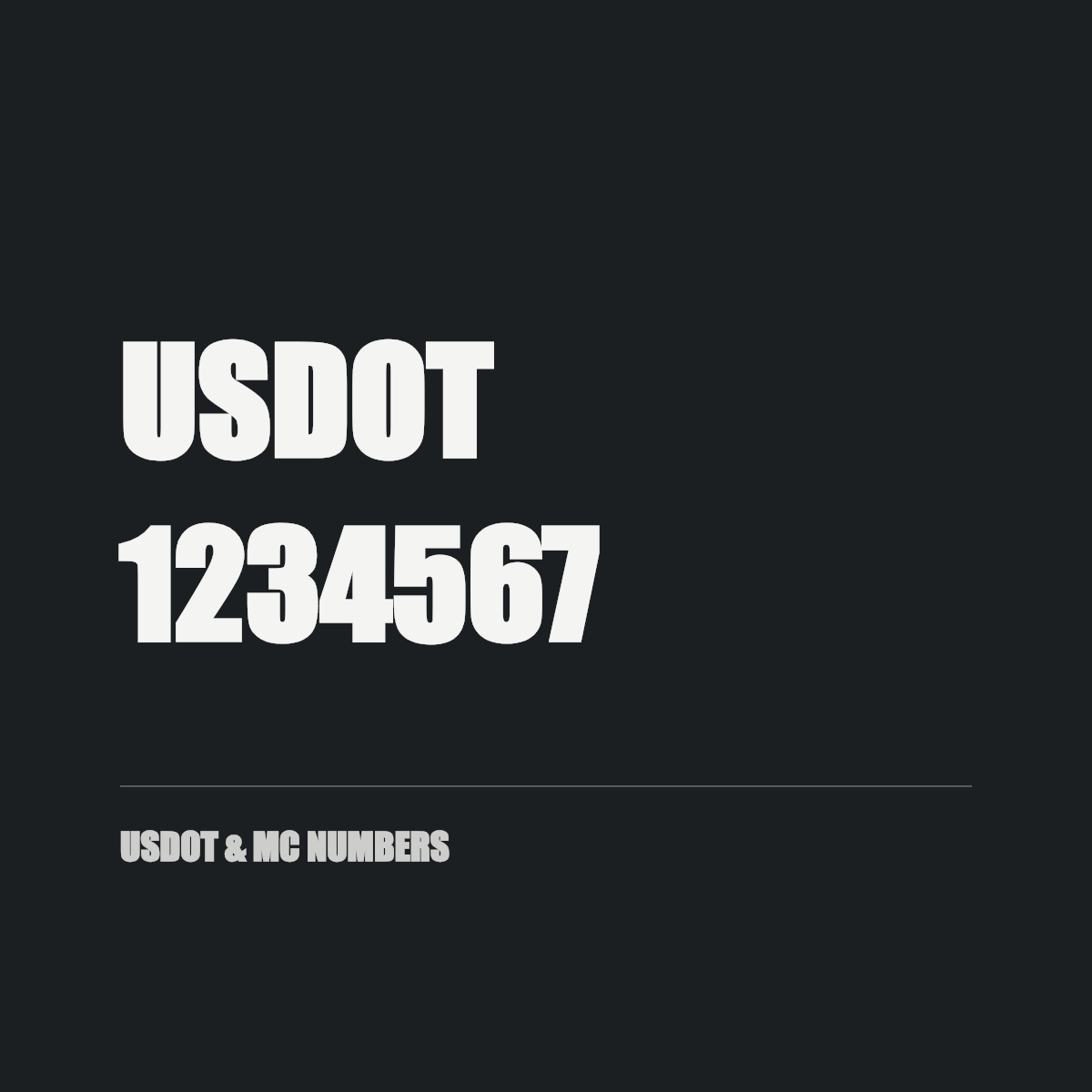 USDOT & MC numbers — USDOT, 1234567 cut in white vinyl